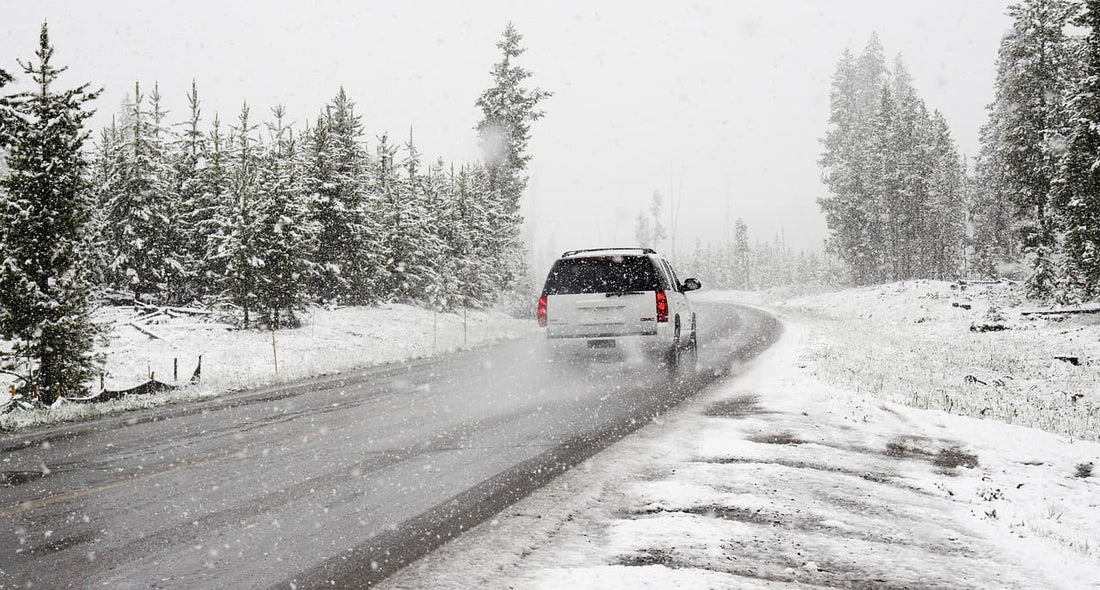 A white SUV driving on a snowy road surrounded by pine trees during snowfall.